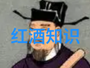 数字生活碎片的收藏与回忆手机截图在虚拟空间中的存储与检索机制探究