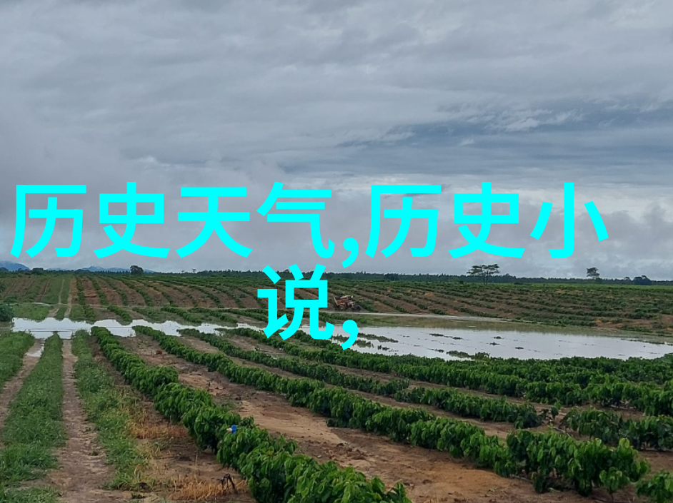 绯红家族唐顿庄园的隐秘纠葛