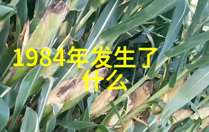 葡萄酒招商网推荐品味中国酒庄酒领略国产葡萄酒的独特魅力