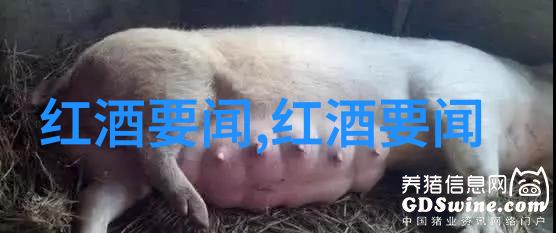 揭秘基金经理对冲策略在当前大盘实时走势中的运用