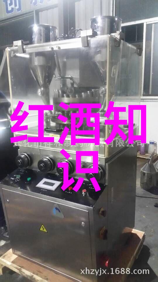 中国队在巴西世界杯上的胜利激励了全社会酒吧和酒庄也加入到庆祝活动中举办了一系列主题派对