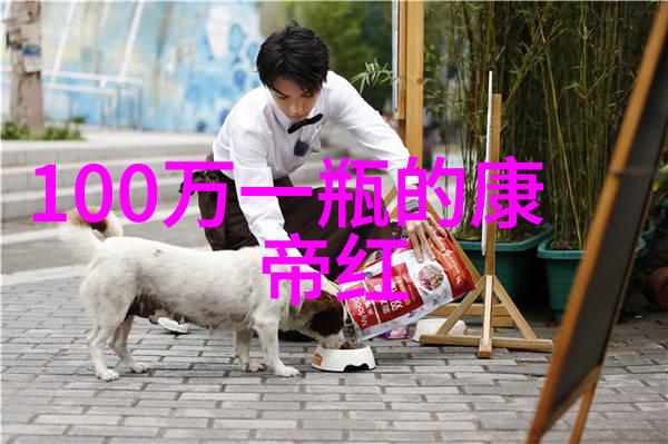 感动中国十大人物事迹伟大的历史时刻