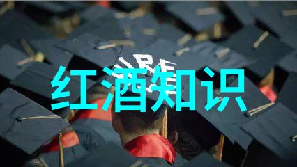深入研究地方党政人物库与区域发展战略的关系