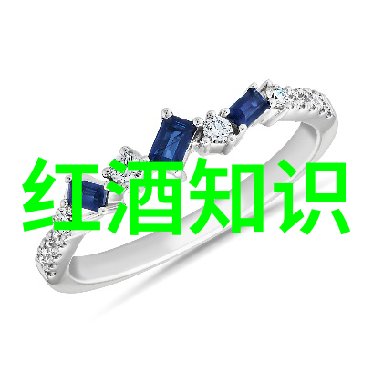 阿根廷门多萨产区-绚丽风情与葡萄酒之冠探索阿根廷门多萨产区的葡萄酒传奇