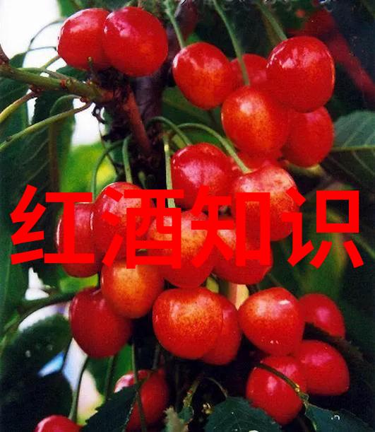 哈哈好长的故事