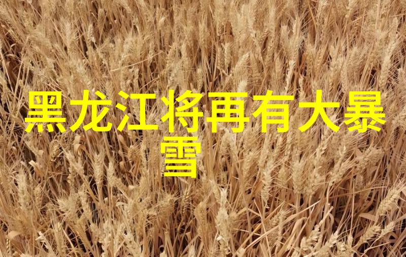 北京插云山路庄园品酒享生活香满每一刻