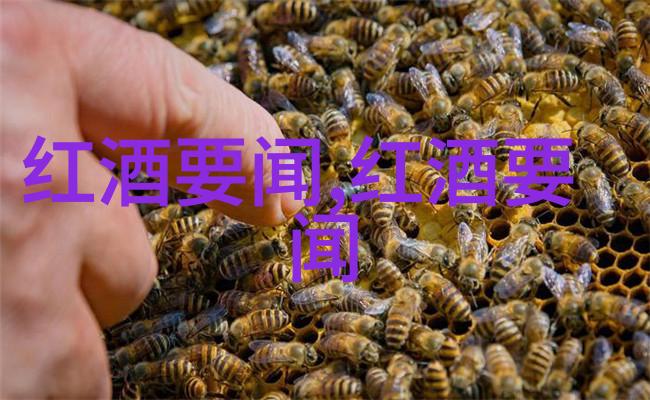 颐和园无删减143分我在颐和园拍了个满意的照片结果评分高达143分