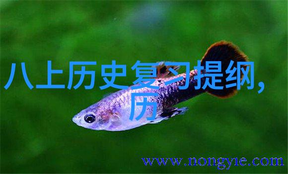 葡萄酒的故事一场穿越时空的醉游