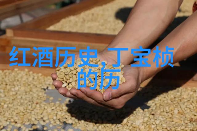 北京庄园董事长探索一代企业家的商业智慧与社会责任感