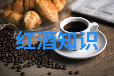 天文学家的足迹丁宝桢的光辉岁月