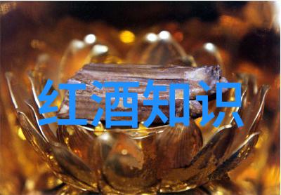 法国葡萄酒的守护者揭秘AOP的奥秘