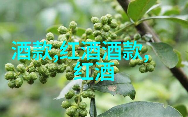全国代表周洪江提案打破酒类行业促销广告枷锁图画大全卡通人物少女期待新篇章