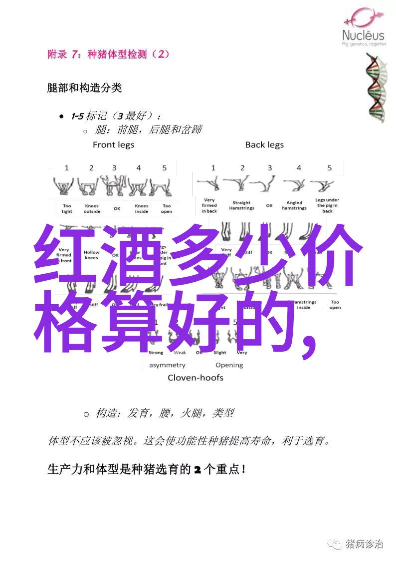 黑皮诺葡萄酒的诞生地探索法国波尔多和意大利托斯卡纳的产区秘密