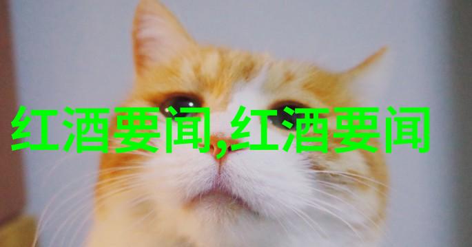 历史虚无主义的迷雾追溯其思想根源与现代社会影响