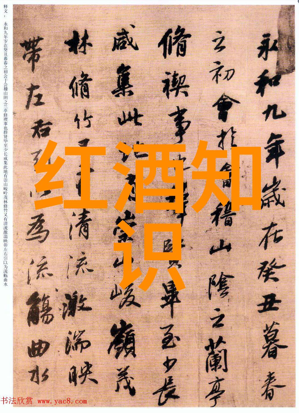 暗夜蔷薇魅力小说下载沉默的夜晚中蔷薇绽放的奇幻故事