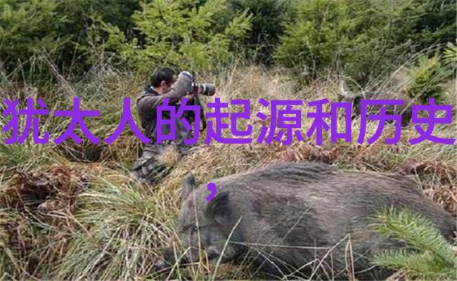 触屏新闻界从手机百度到全球热点的奇妙旅程