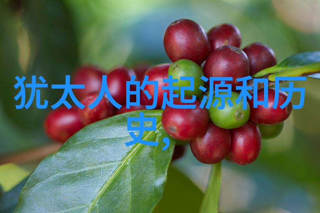 健康之谜解析疾病与福祉的问答大典