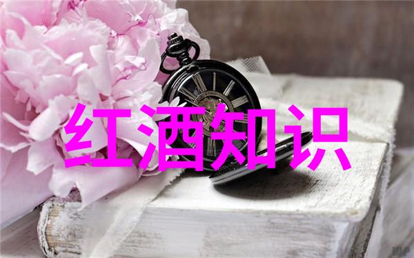 在中学历史教学园地里Sovi推出了一个不含酒精的酒瓶它就像是一块时间的宝石承载着历史的痕迹和未来的智