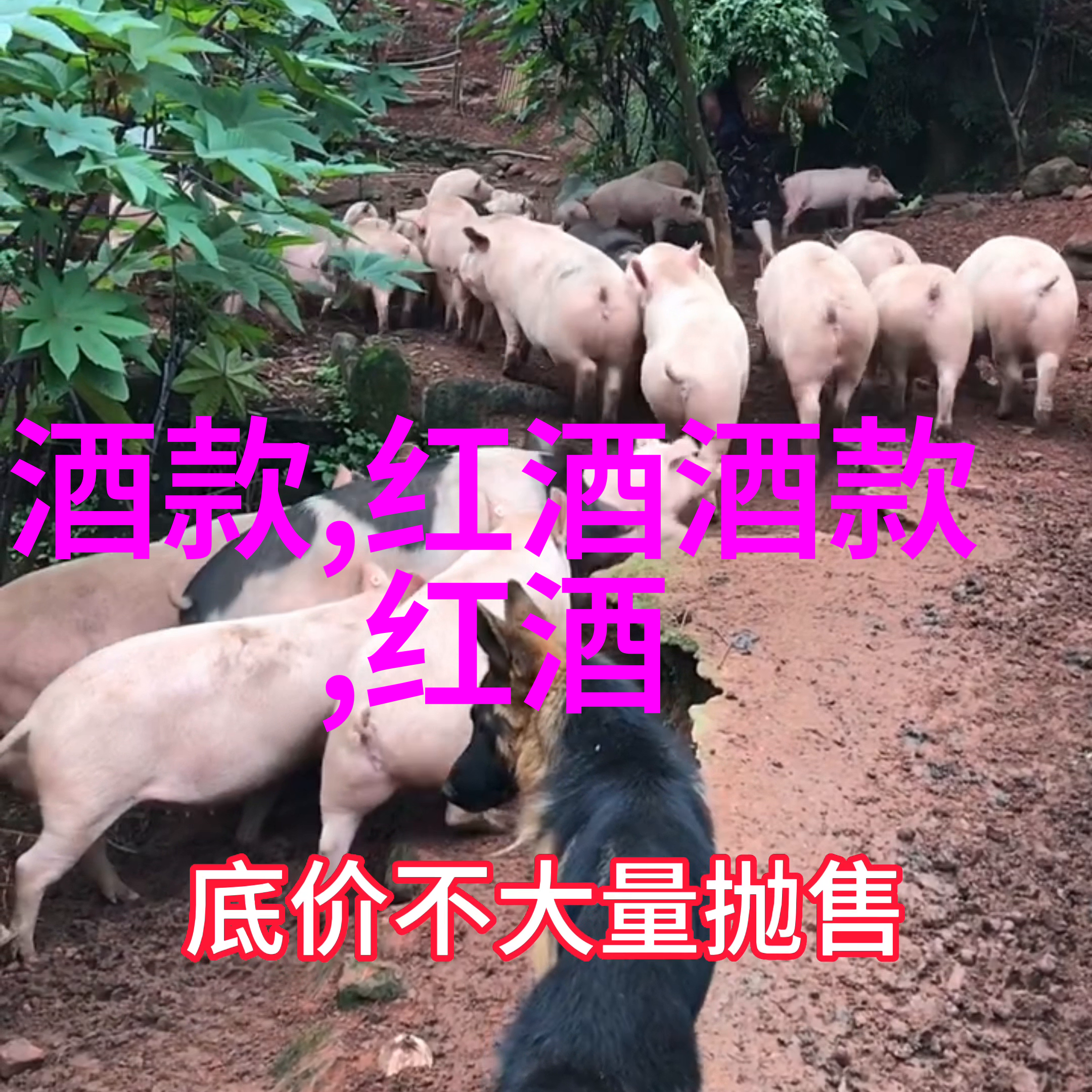 在周边旅游景区享受自然美景的同时吃小龙虾配啤酒的人真正该担心的不是寄生虫而是这些问题