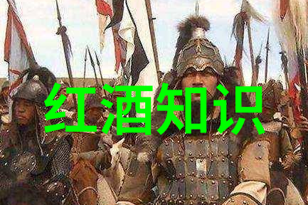 玉米品种图片大全探索多样性与美的艺术