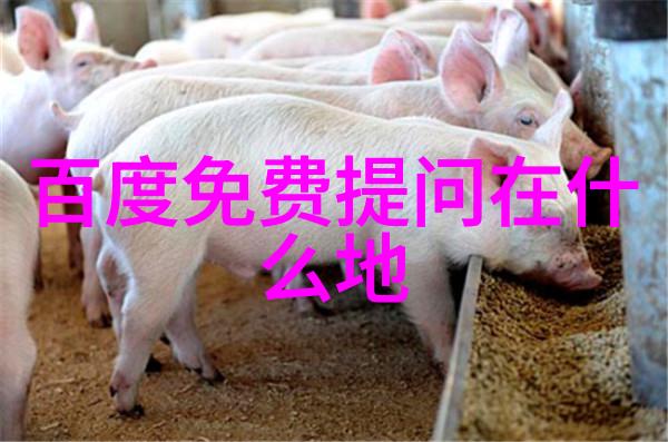 红星照耀中国人物形象和事迹-英雄的光芒中国伟人传奇