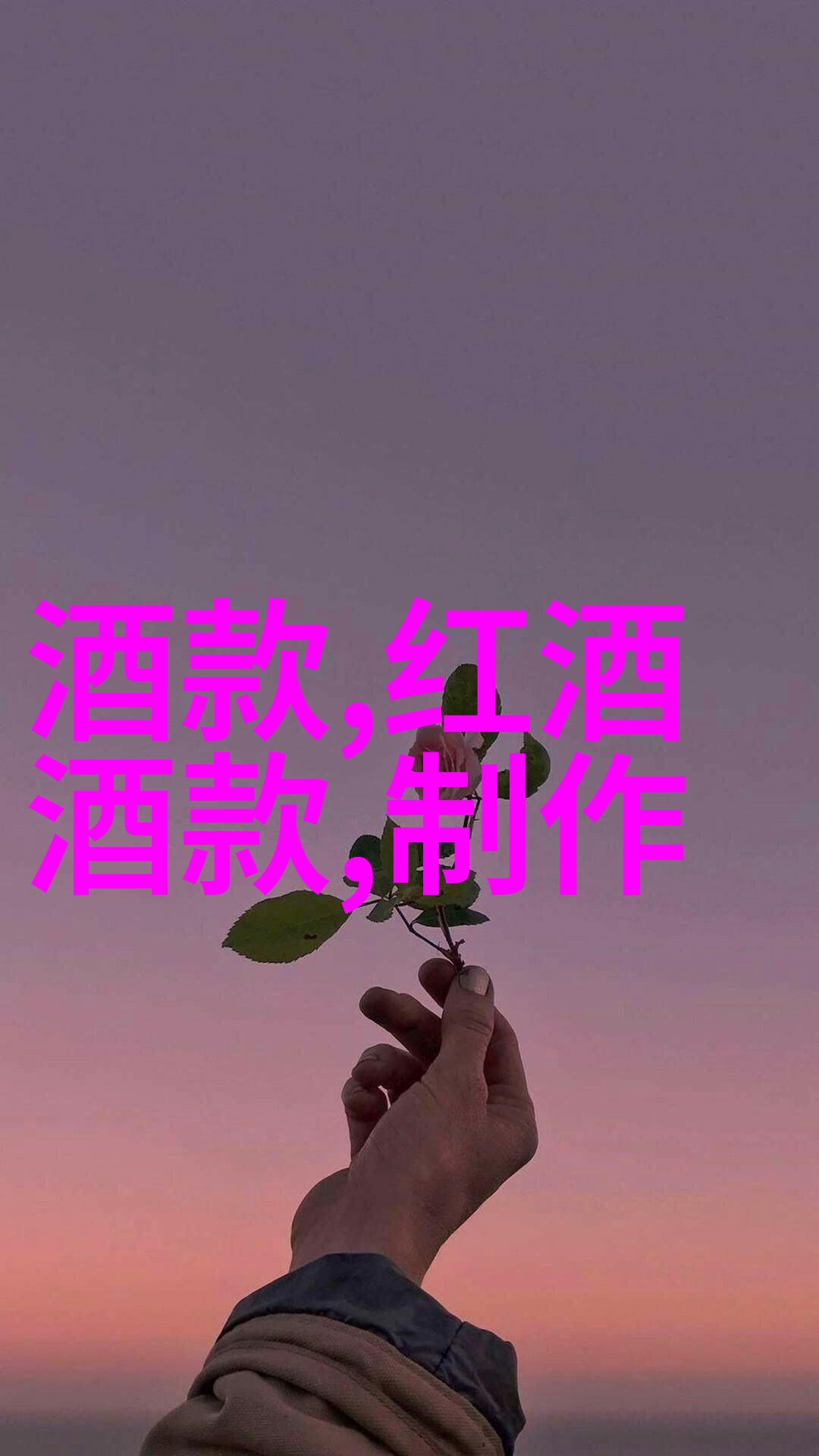 卡通世界的简约魅力Q版动漫人物的艺术探索