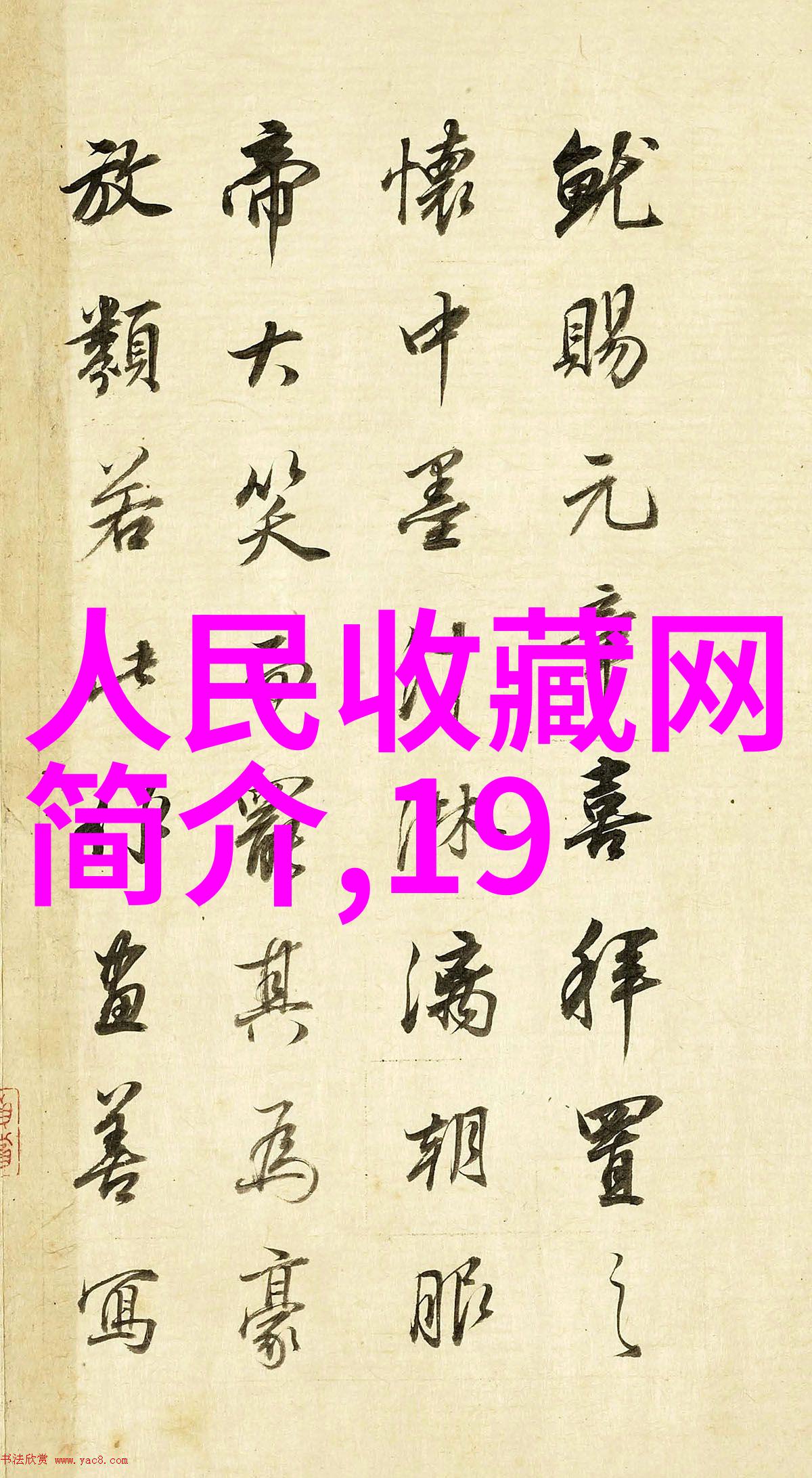 猫咪品种-探索全球各类猫咪的多样品种世界