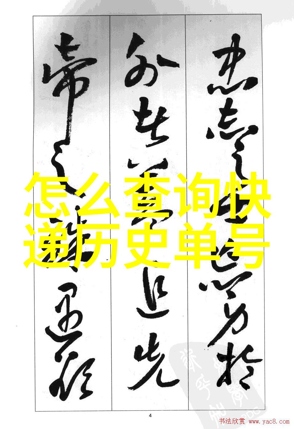 探秘猫咪魅力精彩的图片大全大图展现
