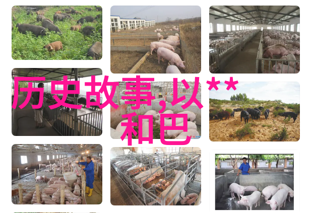 视频珍藏时光机器中的电影回忆