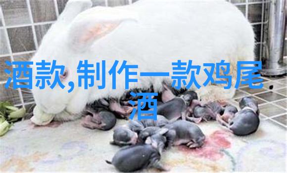 猫咪品种探秘8款适合父亲节的好酒带你一起品味生活