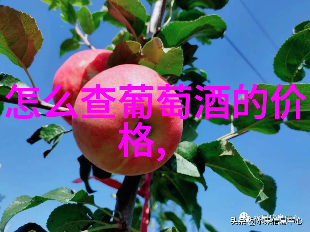 iPhone110革命性的新机型重塑智能生活