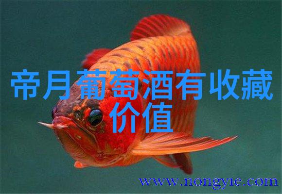 张家界最佳旅游时期张家界最适合的旅行月份
