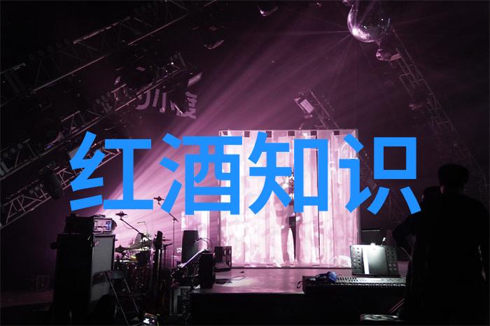 醇香绕世界揭秘葡萄酒产区的全球排行榜
