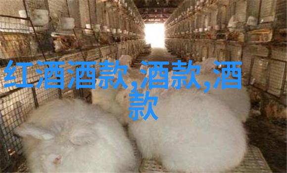 离婚申请一场未删减的爱情悲剧免费阅读