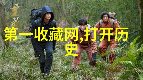 都兰产区法国红酒之冠梦想的葡萄园