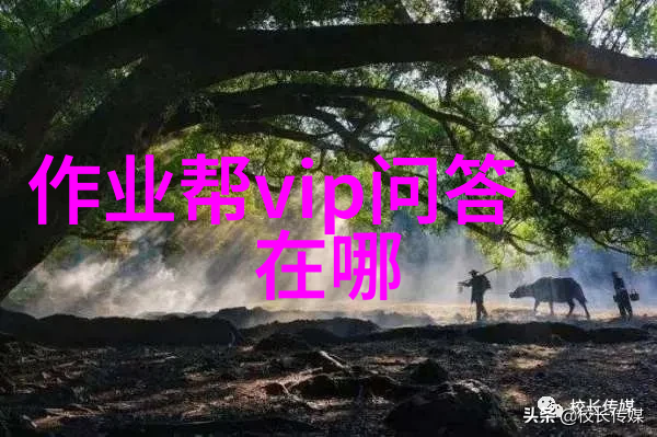 醉美葡萄探索世界各地的葡萄酒庄园文化奇遇