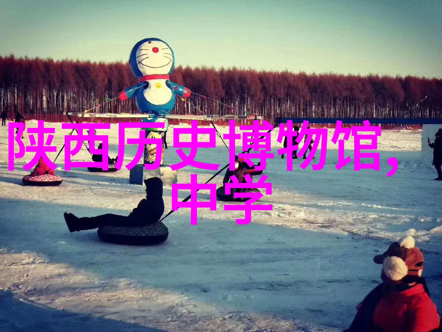 探秘猫品种美短简洁的外表与深情的内心