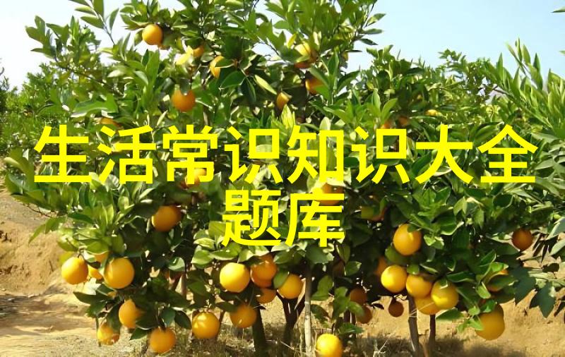 最豪华的别墅 - 奢华之巅探秘世界上最豪华的私人别墅