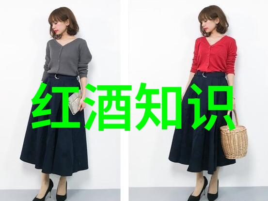 代表法国红酒图案我和那些酩酊大醉的夜晚追忆那些绚烂的法式葡萄酒故事