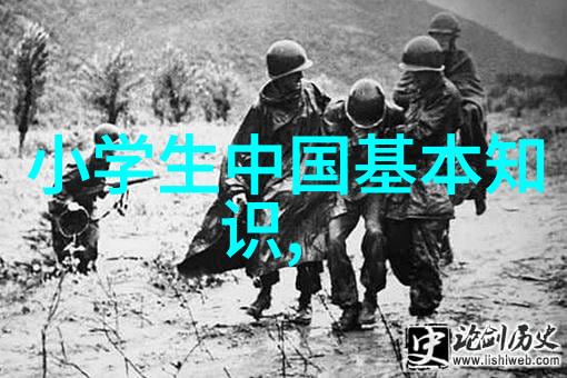 双人厨房大挑战35个疯狂烹饪视频中的技艺与趣味