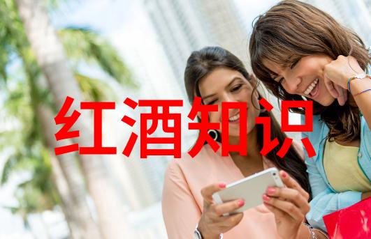 在ws网站上葡萄酒爱好者难道不该寻求一款时尚的红酒单品吗