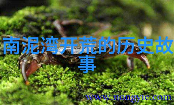 夏日甜蜜草莓尝心话