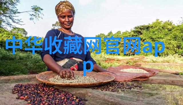 文学创作中的人物塑造技巧及其对读者影响力分析