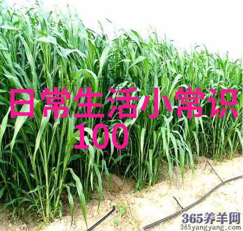 红酒资讯网我是如何在一壶好酒中找到生活的美妙