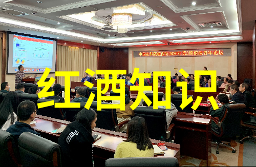 法国红酒哪个产区最好-品鉴法国探索波尔多勃艮第与罗讷河谷的葡萄酒传奇