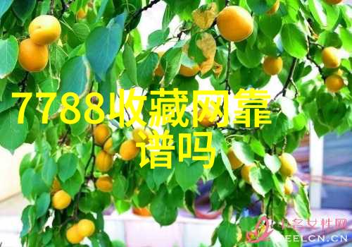 大收藏家的财富管理又安全又高效吗
