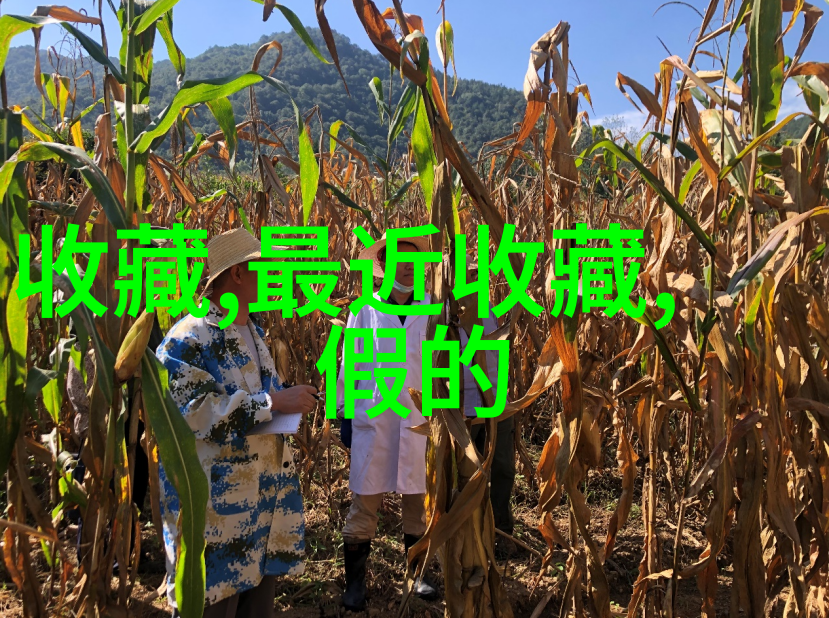 中国足球梦与巴西热血交锋世界杯笑料大赛