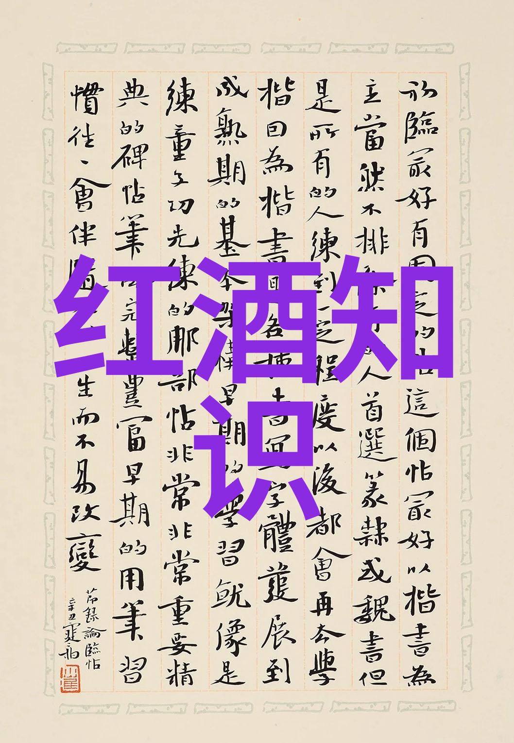 猫儿的世界喵喵趣图探秘