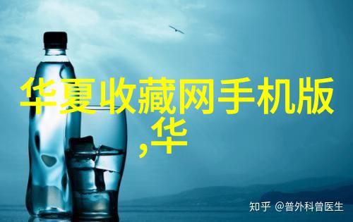 倩影轻纱探寻美丽的姑娘高清视频免费中国观看背后的故事与魅力