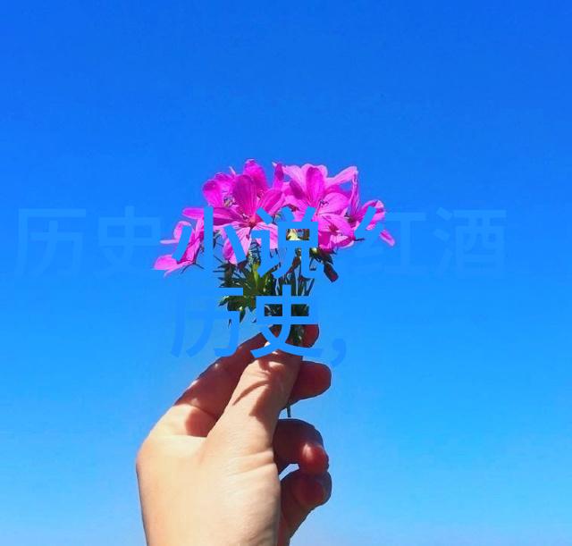 在澳大利亚格雷纳什纽约富兰克林山谷以及新不伦瑞克诺瓦斯科夏发现了怎样的独特风土人情呢